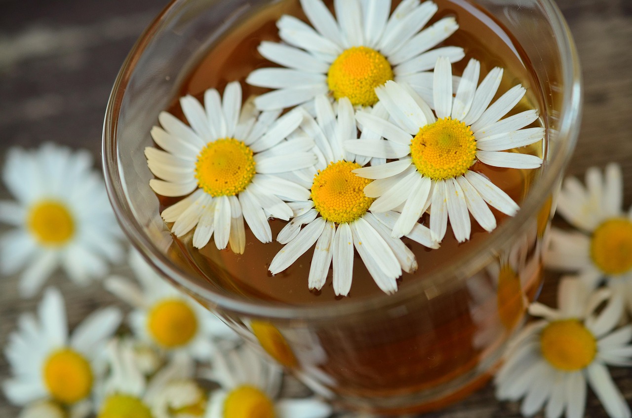 herbal tea consultation wellness